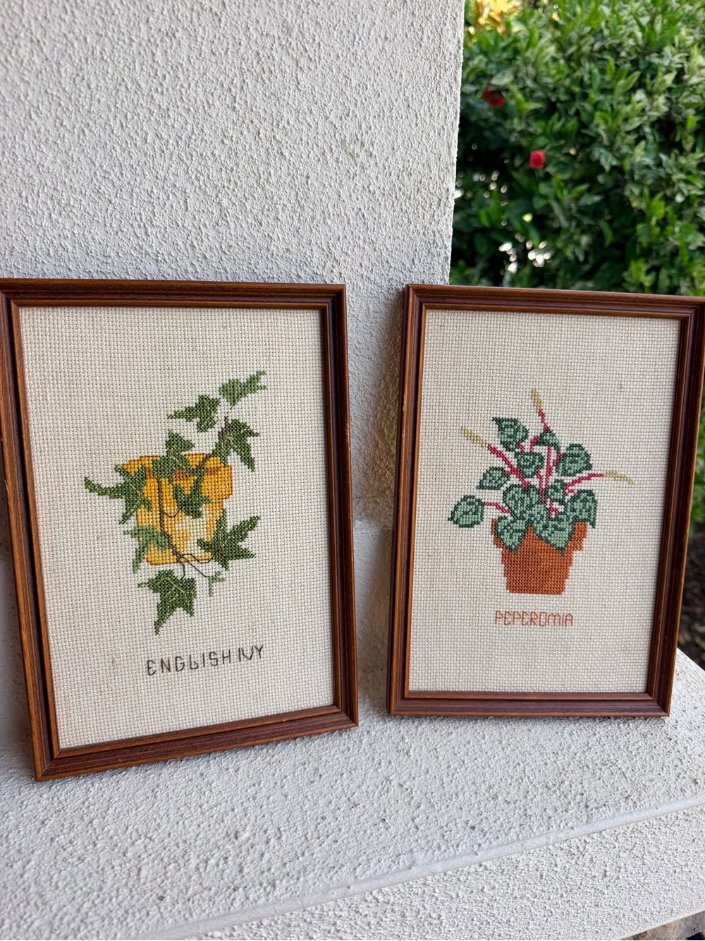 Vintage Botanical Cross Stitch Framed Art Pair English Ivy Peperomia Plants